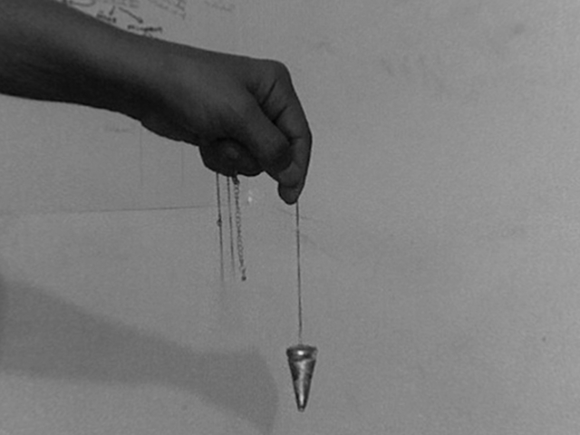 denise alves-rodrigues