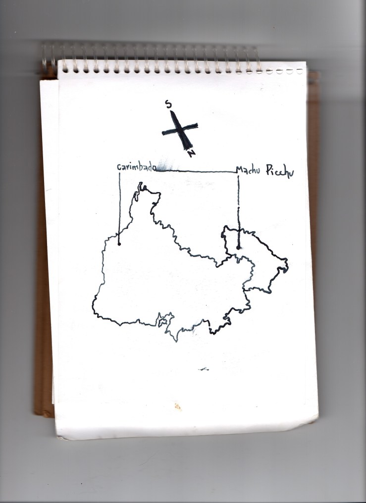 denise alves-rodrigues