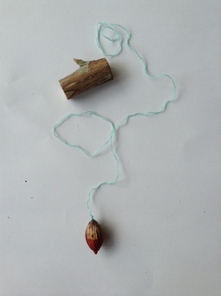 denise alves-rodrigues