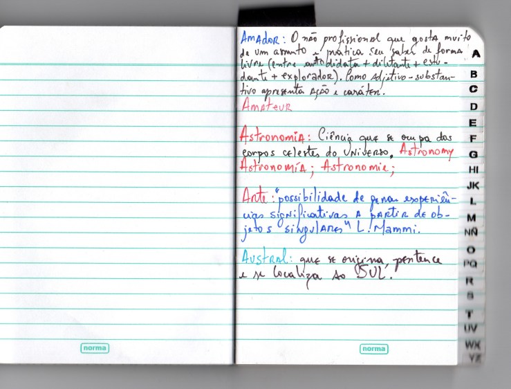 denise alves-rodrigues