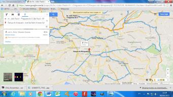 denise alves-rodrigues